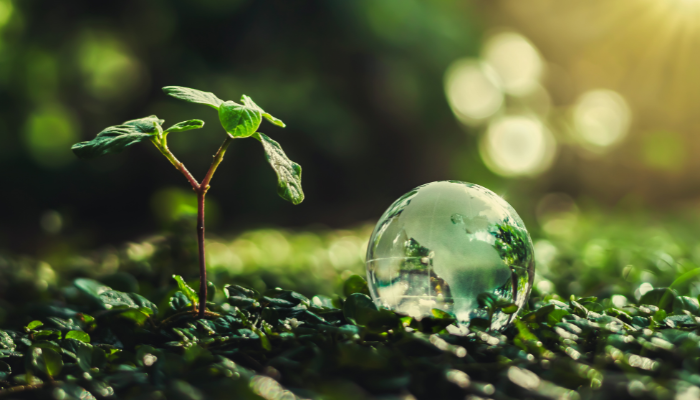 Go Green This Earth Day