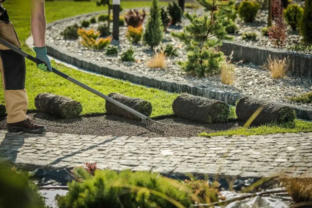 Preparing Soil for Sod Installation - Low-Maintenance Landscaping Options You Should Consider