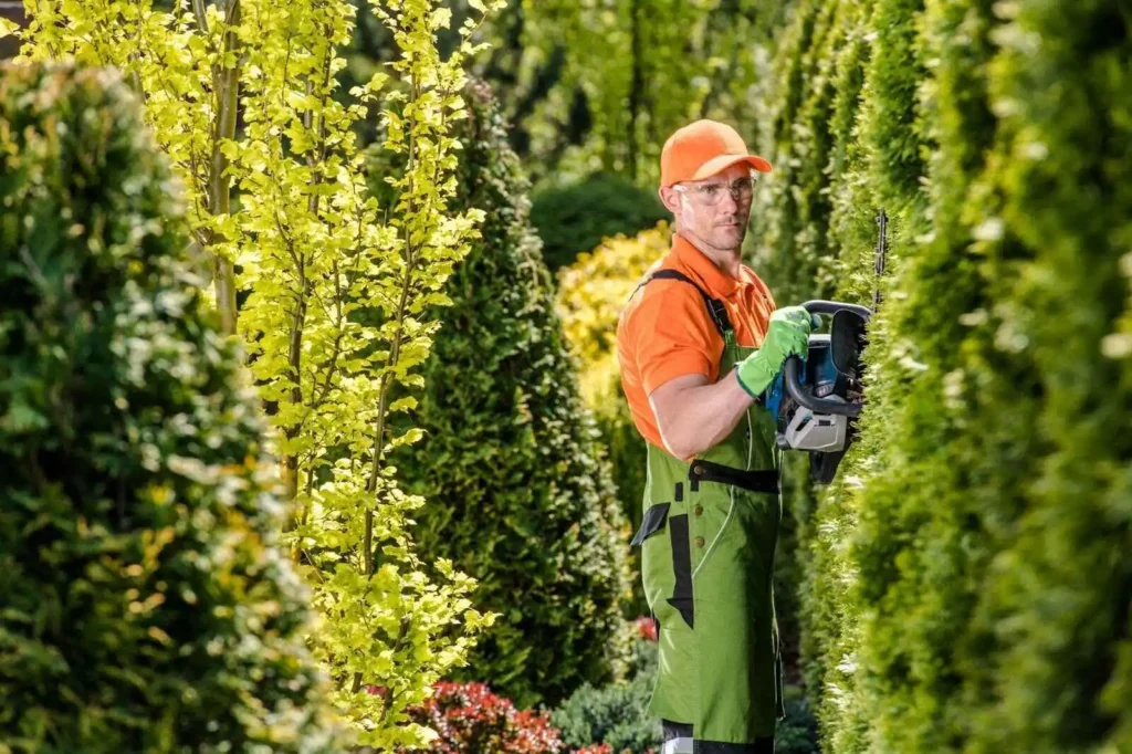 Professional hedge trimmer