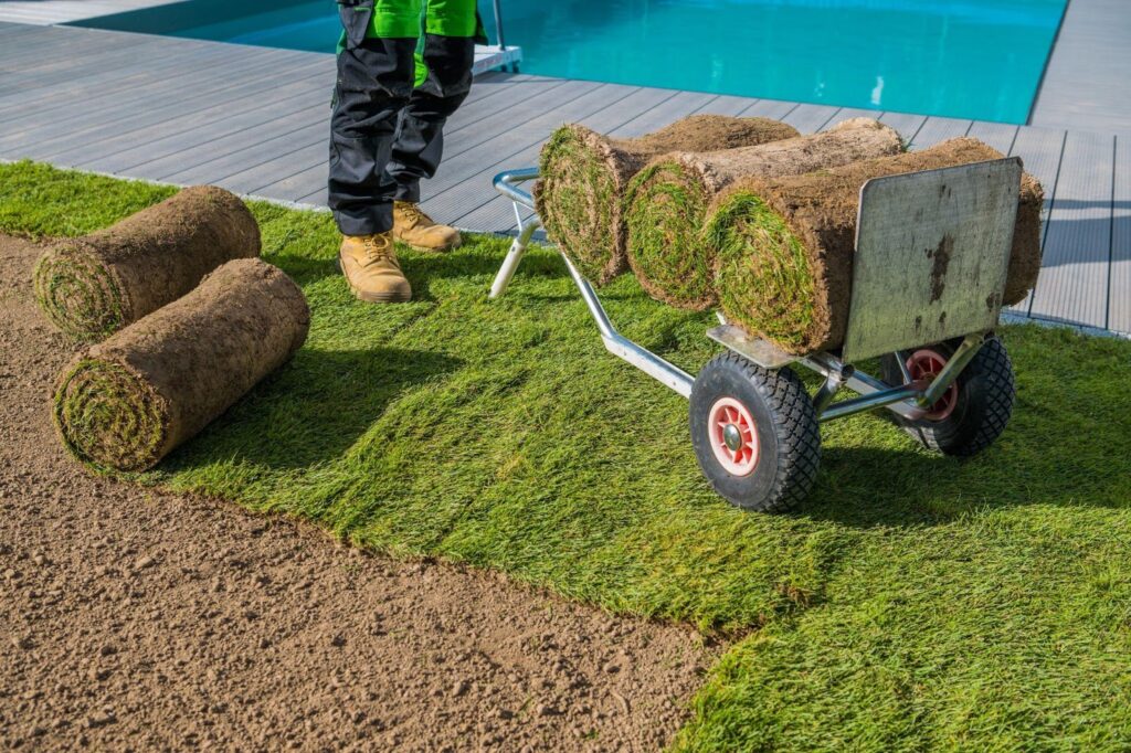 Turf grass roll loaded