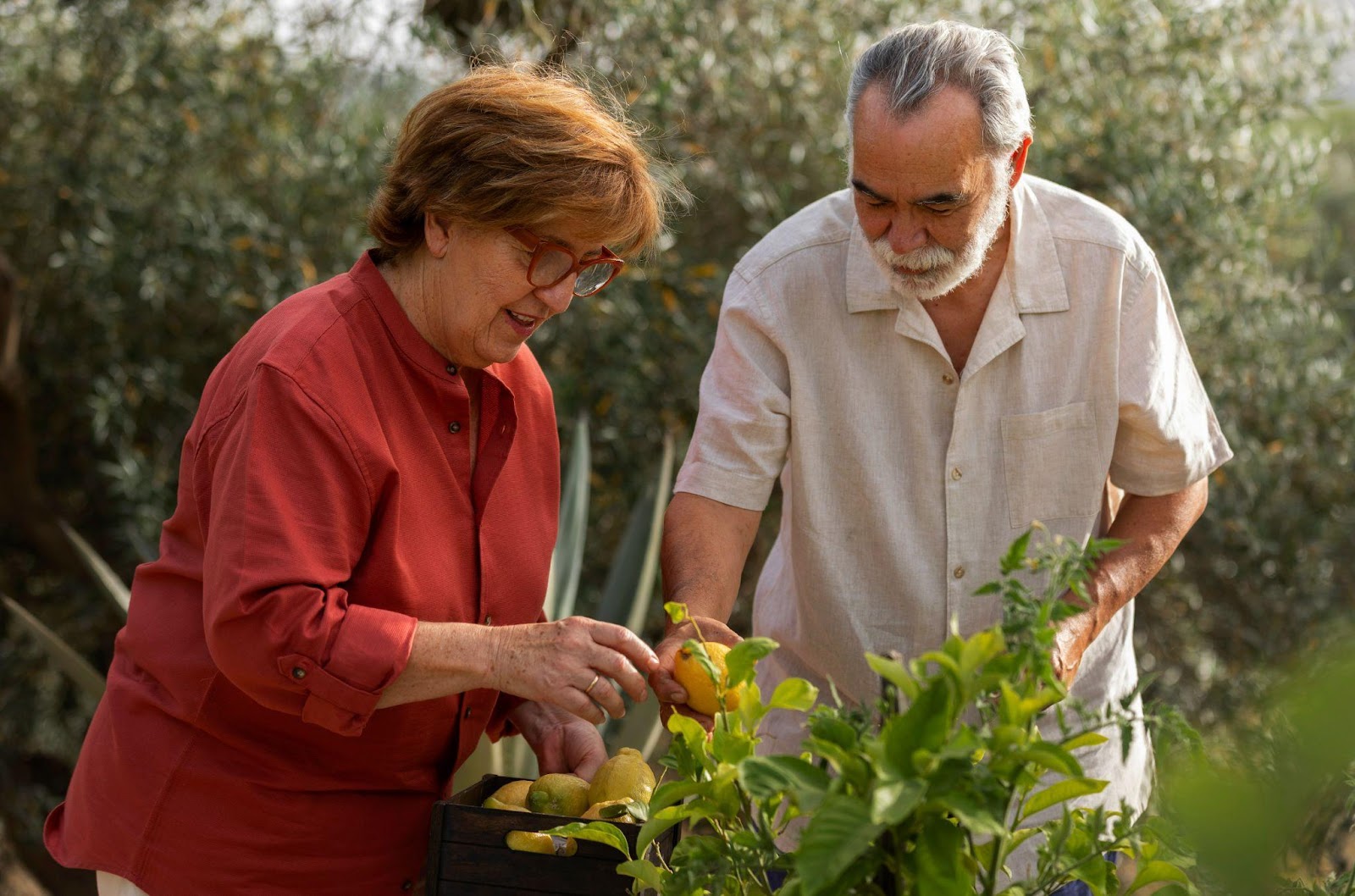 Seasonal Tips For Lawn Care