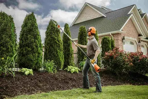 A professional gardener pruning trees with a garden pruner