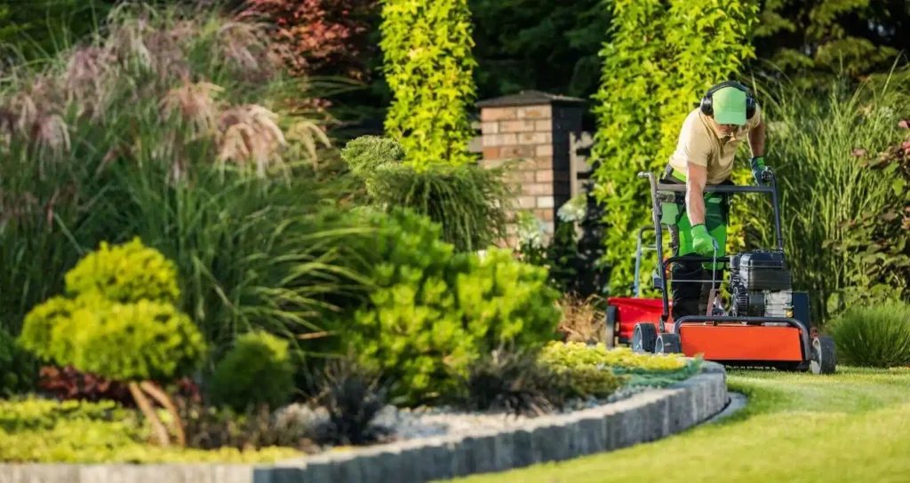 How to Assessing Lawn Condition After Winter