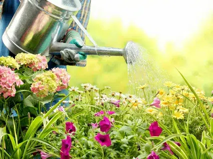 Beautiful garden fertilization job