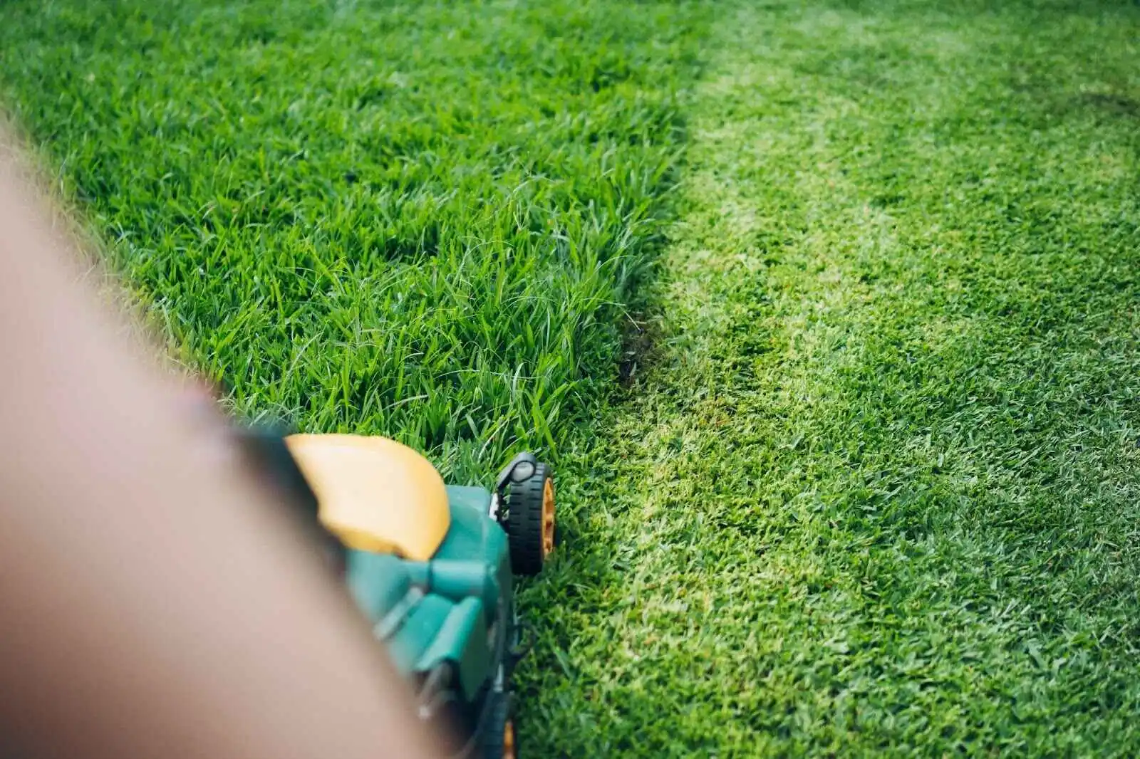Custodia Grass Cutting Service