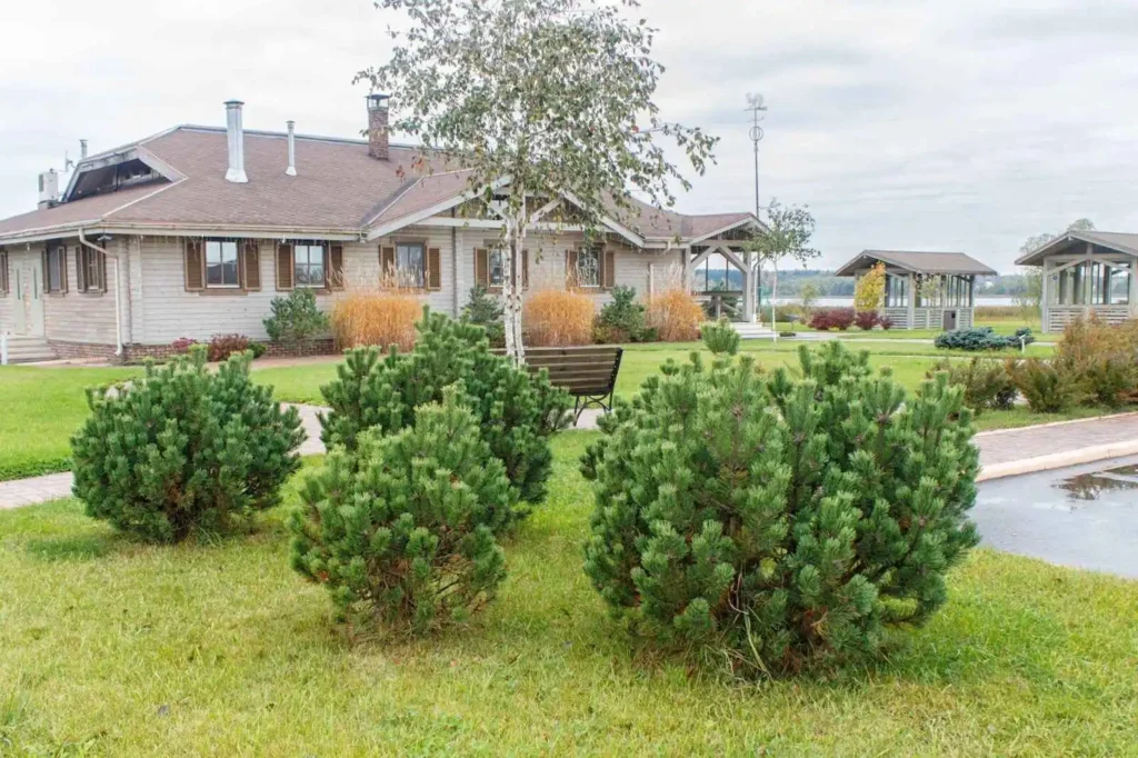Keep Your Etobicoke Yard Healthy - A Complete guide