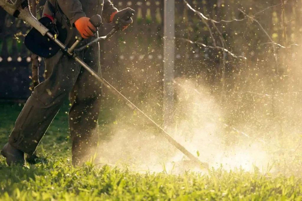 Describes Lawn mower on green grass, cutting machine  