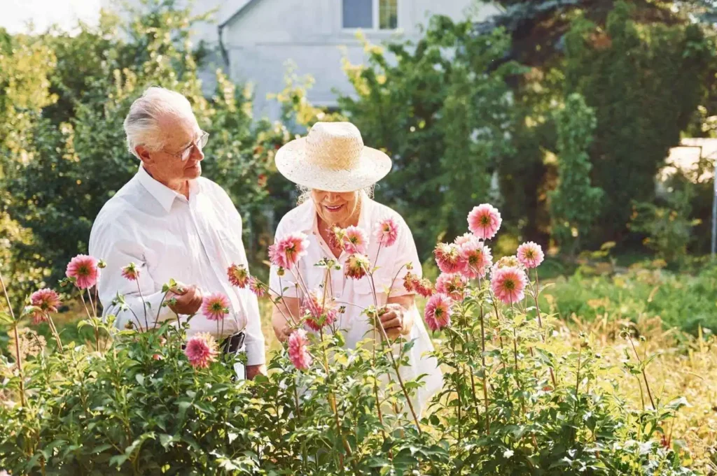 Lovely senior couple is in the garden  