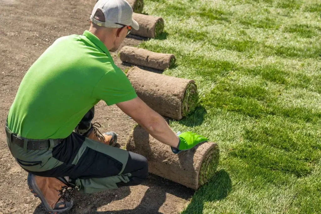 showing Man Installing Grass Turfs Inside Backyard Garden.  