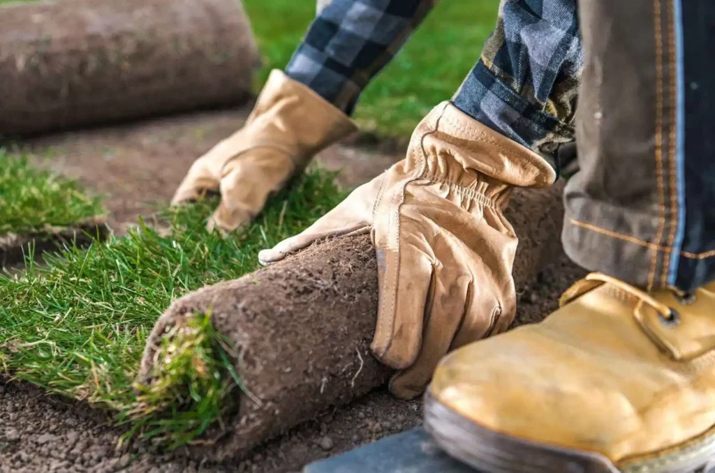 Showing Natural Grass Turfs Installation  