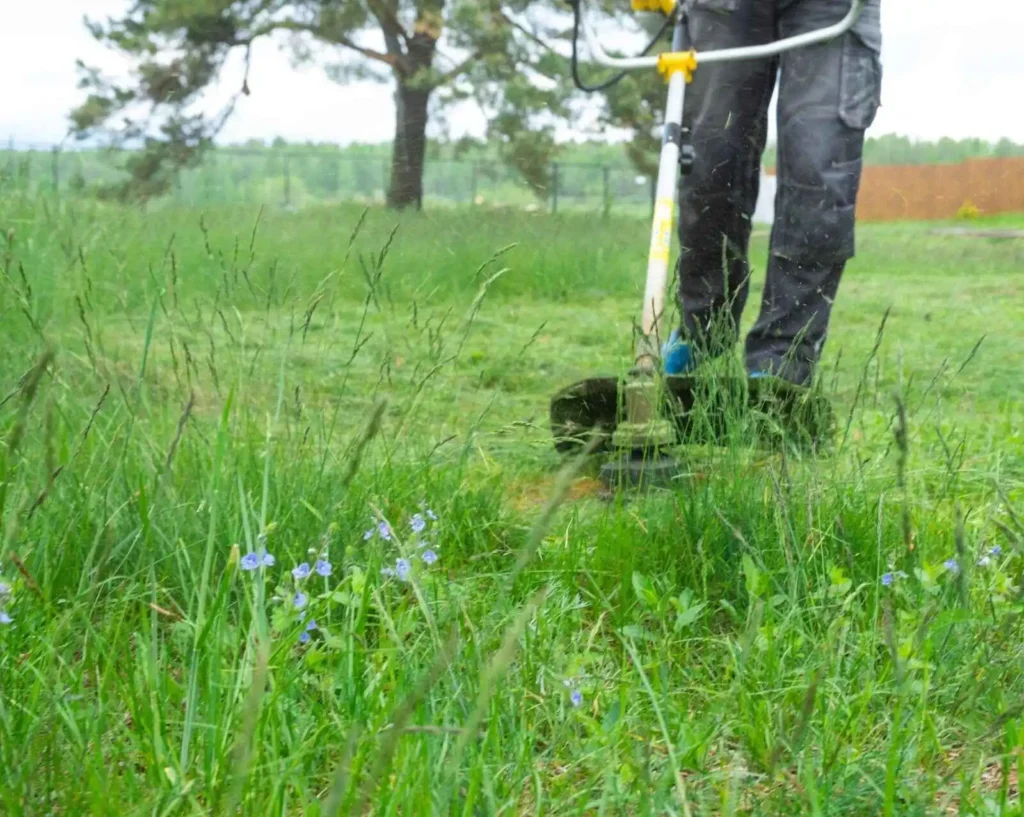 Providing When To Stop Cutting Grass In Ontario