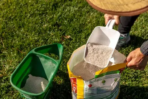 Describes Garden Worker Preparing Grass Fertilizer