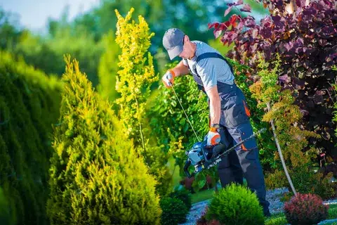 Describing Garden Worker Trimming Decorative Tree