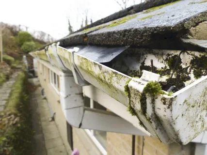 Guide on How To Clean Clogged Gutter In Mississauga?