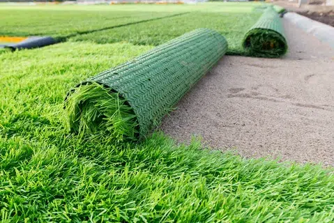 Patch on lawn
