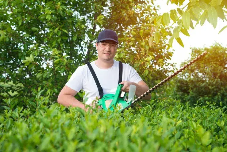 Advantages of Choosing Our Professional Topdressing Service
