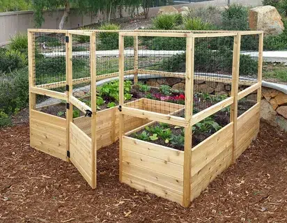 cedar for raised garden beds