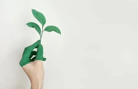 Eco-friendly Options