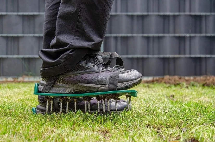 Factors Affecting the Timing of Aeration