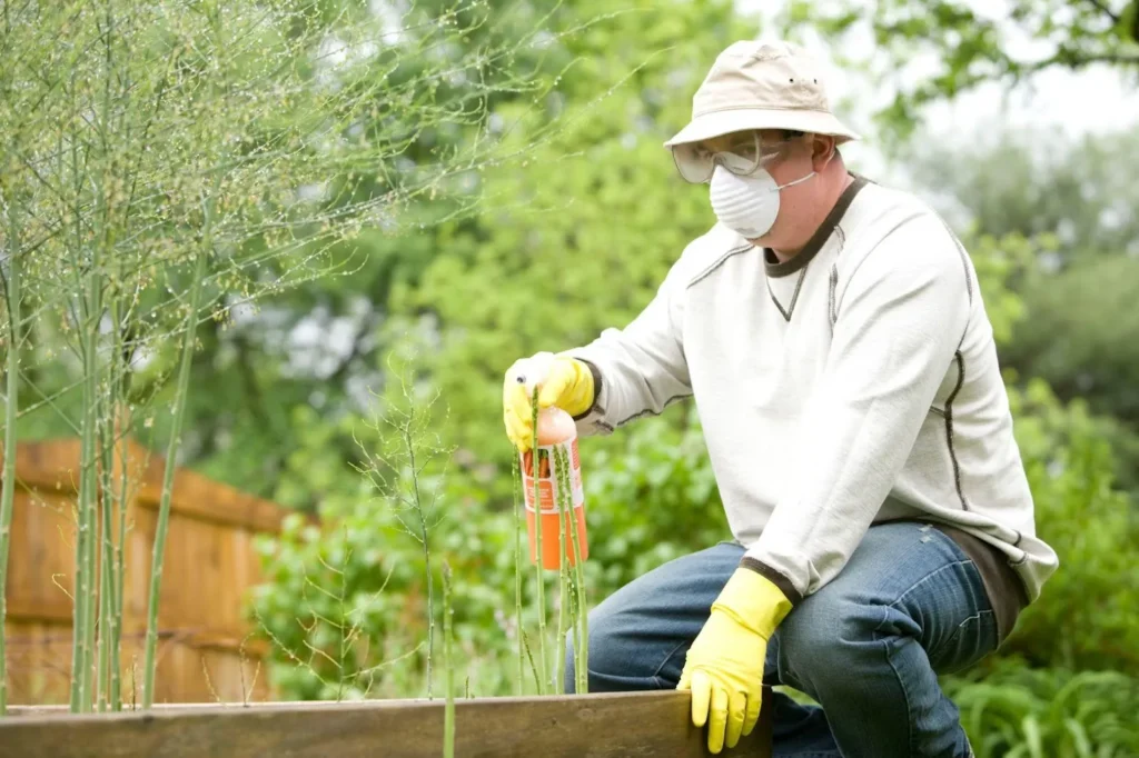 Fertilization Schedule