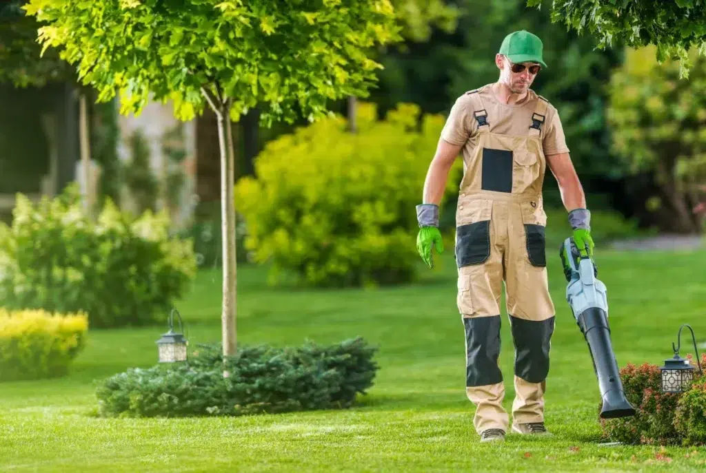 Gardener Blowing Leaves of the Lawn
