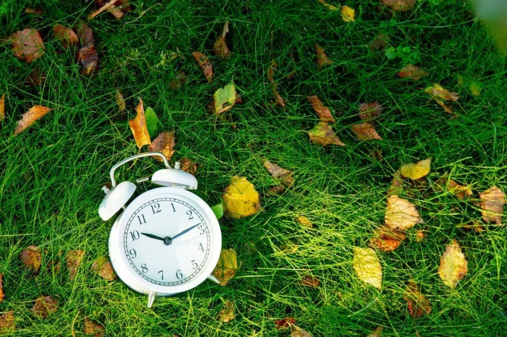 Guide on How Often Should I Mow My Lawn In Ontario?
