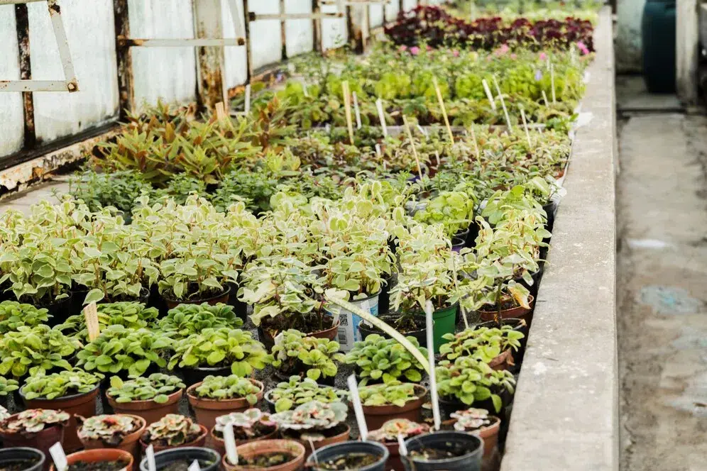 How To Build A Garden Bed In North York