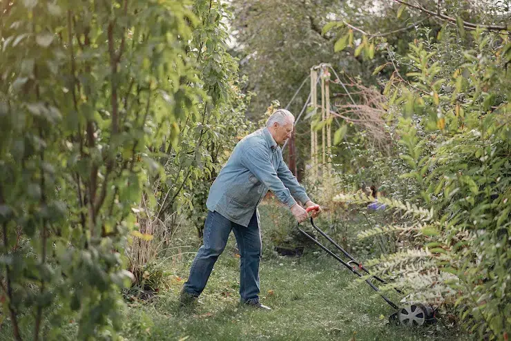 Guide on How do You Properly Cut Your Lawn