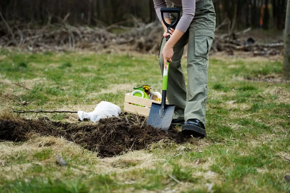 Guide on How to Top Dress Your Lawn in North York