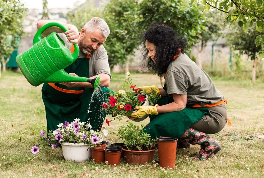 North York Gardening Society