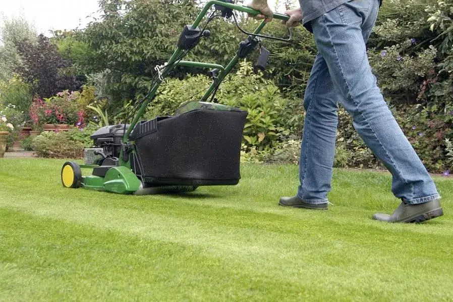 Professional gardener cutting green grass on lawn mower 
