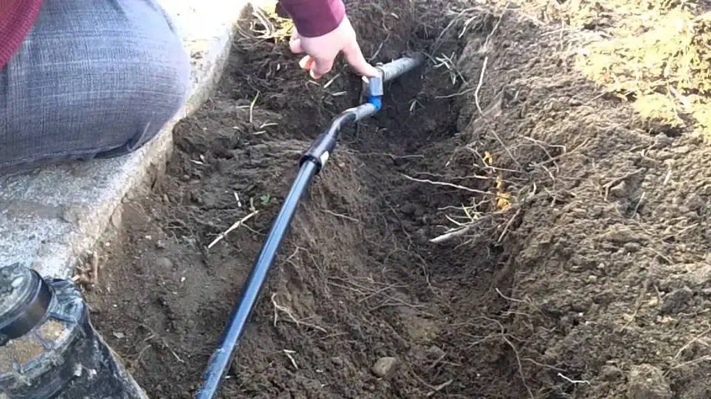 Guide on Repair A Damaged Lawn In Ontario