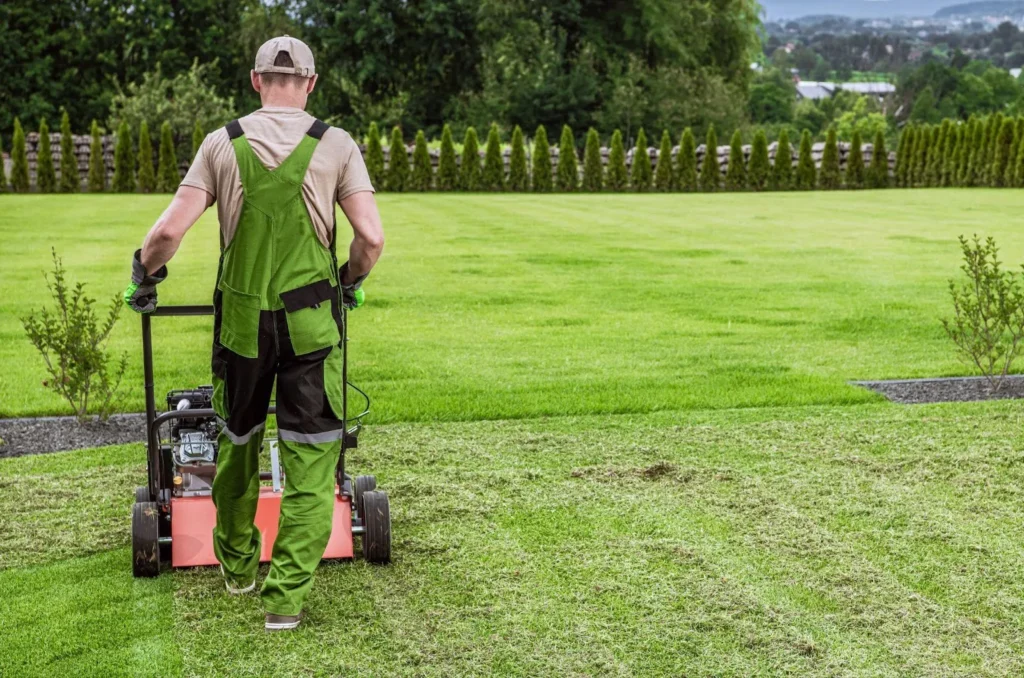 Guide on What Time Can I Mow My Lawn in Ontario