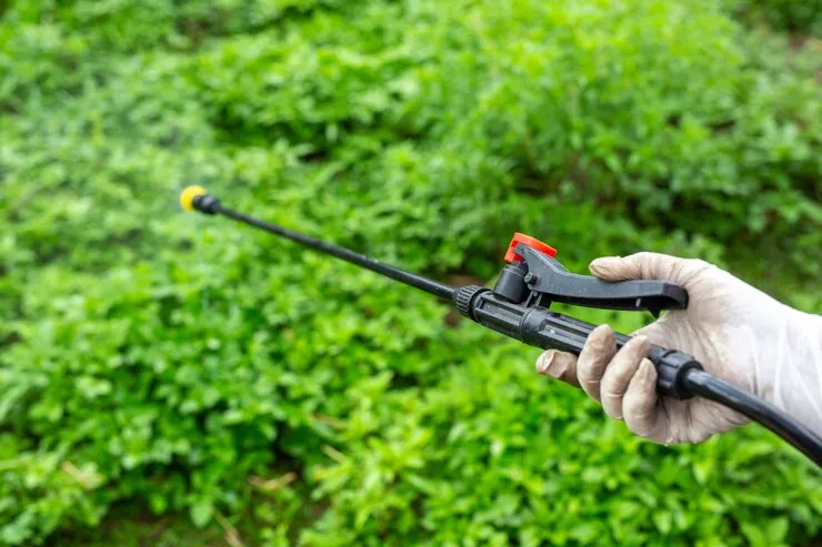 Tips on When Should Apply Grub Control in Ontario?