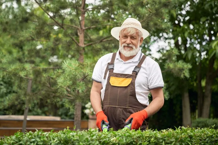 Providing When to Top Dress Lawn in Ontario? Guide to do Safely