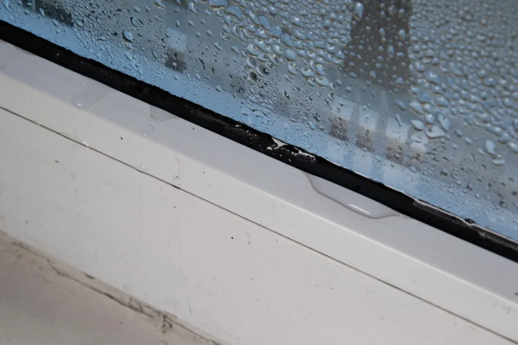 Broken window seal 