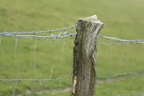 Guide on Can You Fix A Broken Fence Post In Ontario