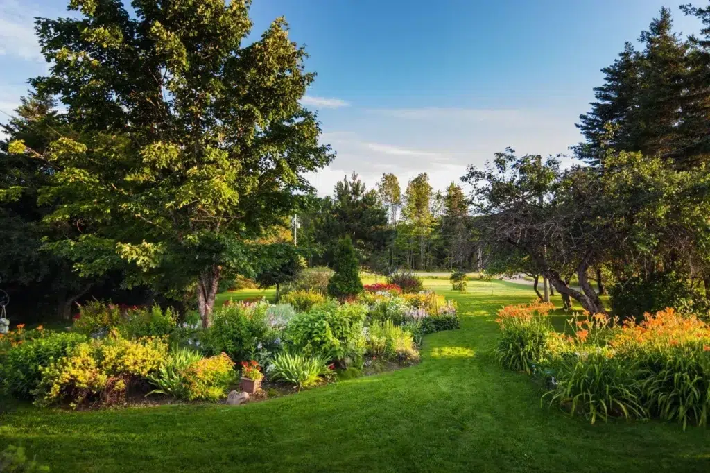 Guide on How Can I Make My Front Yard Usable In Ontario?