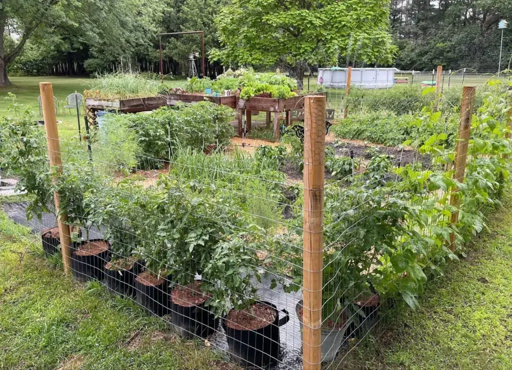 Create a Vegetable Garden in My Front Yard