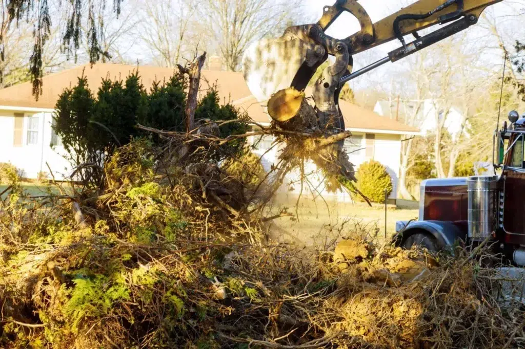 Guide on What Is The First Procedure Of CleanUp The Yard In Ontario?