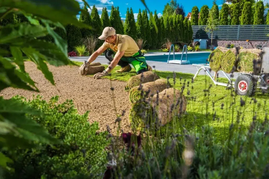 Guide on What Is The Most Low Maintenance Landscaping For Front Yard In Ontario?