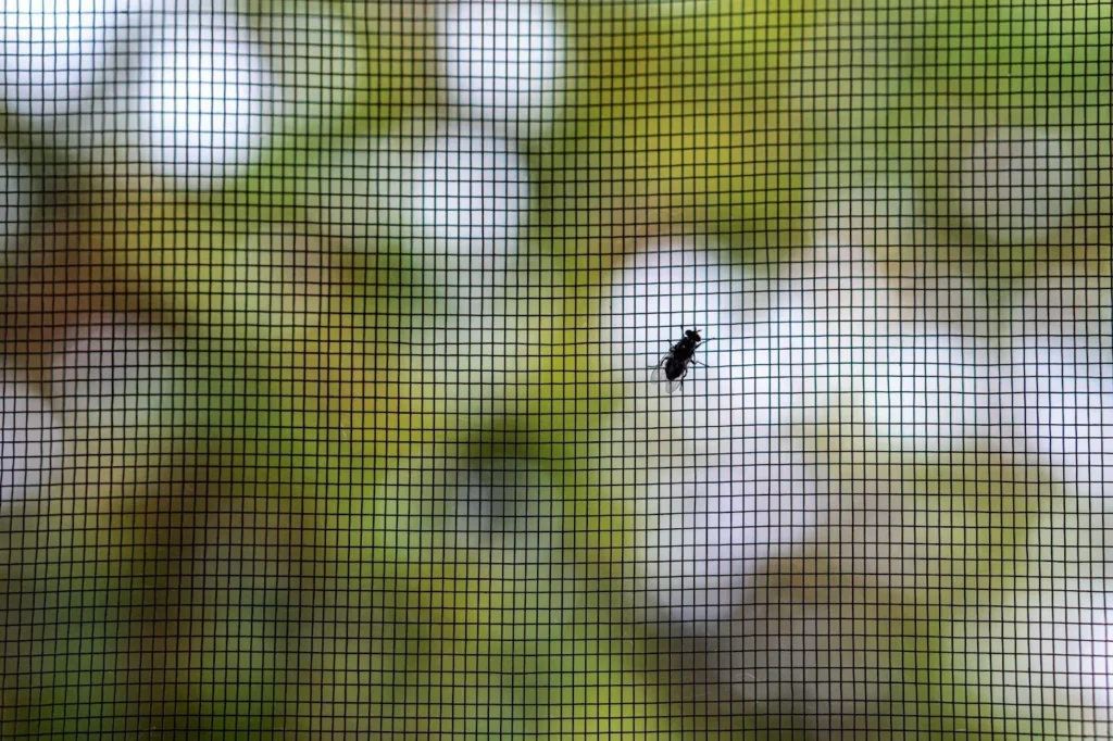 6 Health Benefits of Installing a Sliding Screen Door in Ontario