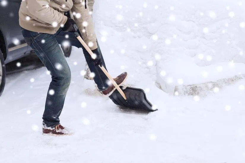Best Practices for Protecting Your Driveway While Removing Snow