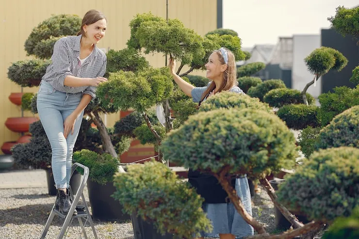 How to Protect Different Types of Garden Furniture