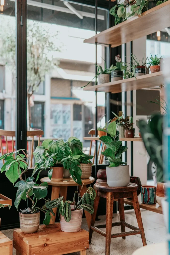Grow plants at home